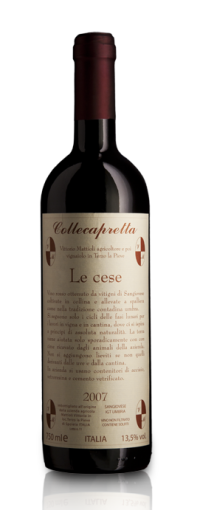 LE CESE