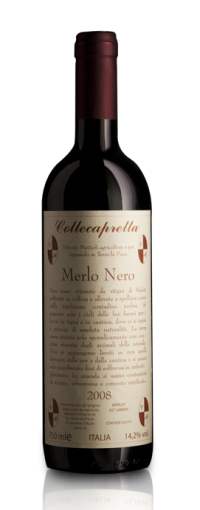 MERLO NERO