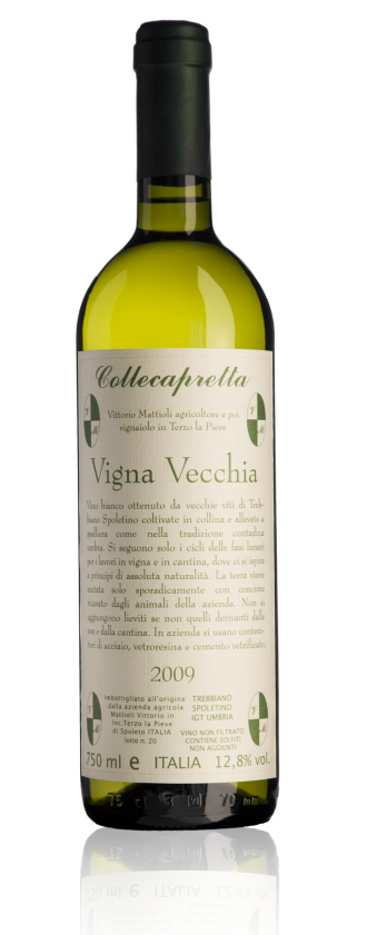 VIGNA VECCHIA